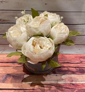 white-peony